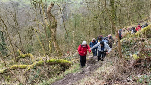 A group of hikers climb a path through woodland towards the camera